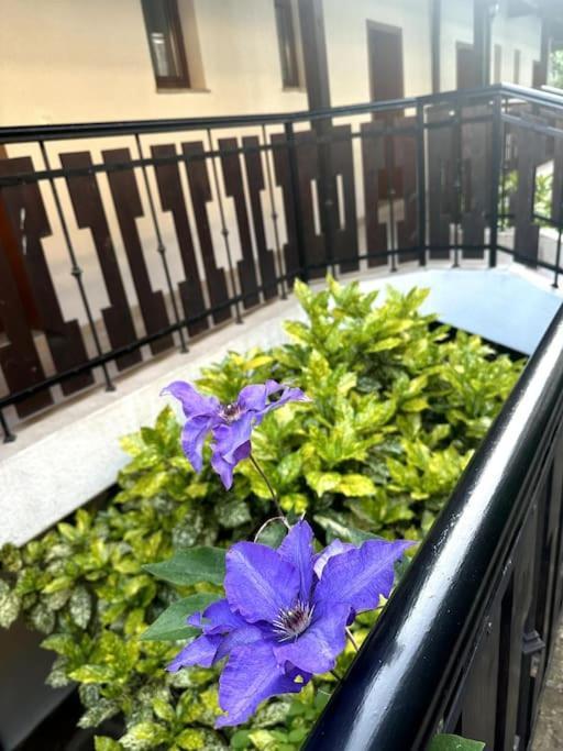 Spacious Fully Furnished Studio In Kavarna Apart Hotel Екстериор снимка